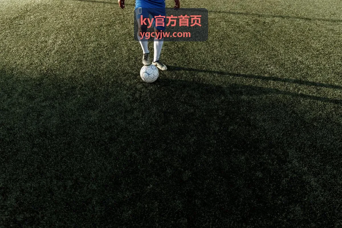 ky官方首页资质与规范说明配图