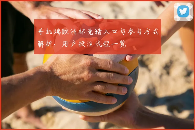 手机端欧洲杯竞猜入口与参与方式解析,用户投注流程一览